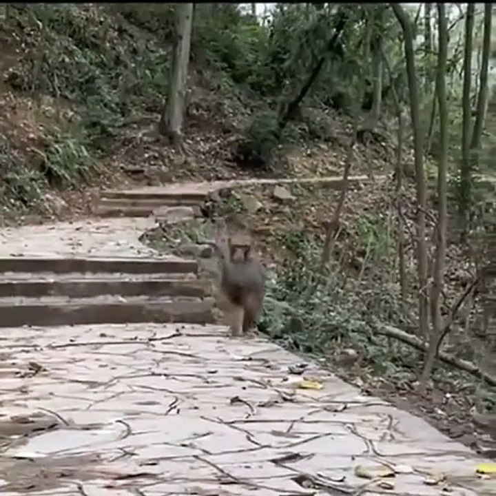 Quand tu te rends compte que tu as oublié ton téléphone