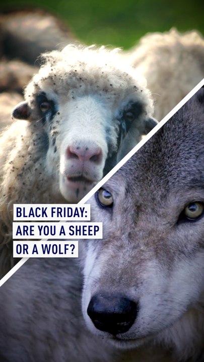 Black Friday: Are you a wolf or a sheep?