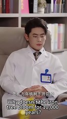 Wanita Penakluk Pria Berhati Dingin | A Woman Who Can Move The Cold Man |Drama China | SUB INDO
