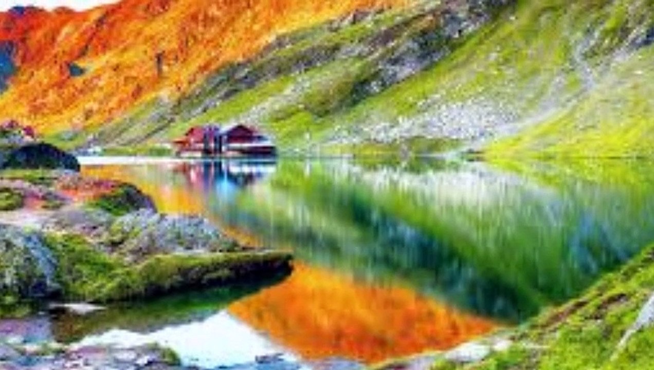 Puiu Nastase-O lumina ca un cantec-2024