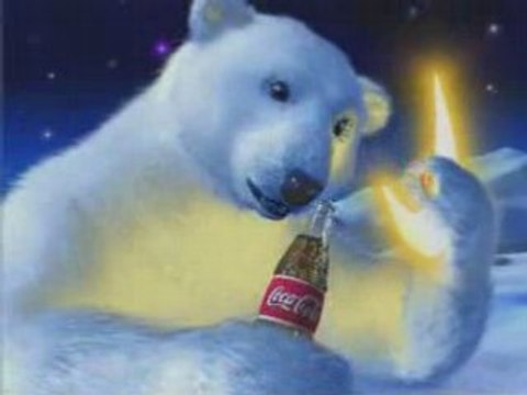 Coca Cola polar bear