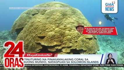 #KuyaKimAnoNa? - Itinuturing na pinakamalaking coral sa buong mundo, natagpuan sa Solomon Is.; Saging na naka-duct tape sa pader, nasubasta sa halagang mahigit P365M; Unibersidad sa Cebu, nagpasaboy ng libu-libong makukulay na confetti;... | 24 Oras