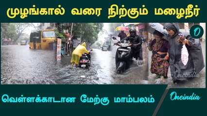 Chennai Fengal Cyclone| கனமழையால் மேற்கு மாம்பலத்தில் மக்களின் இயல்பு வாழ்க்கை பாதிப்பு
