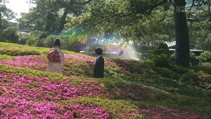 一吻定情 (2013) 日本热播日剧全季中日字幕版🌸