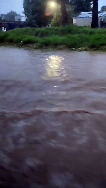 fraile pintado