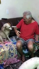 Cadela reencontra dona após morar meses em quartel