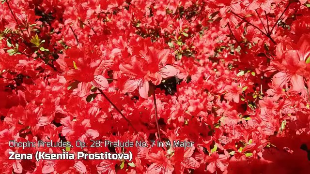 Chopin_ Preludes, Op. 28_ Prelude No. 7 in A Major