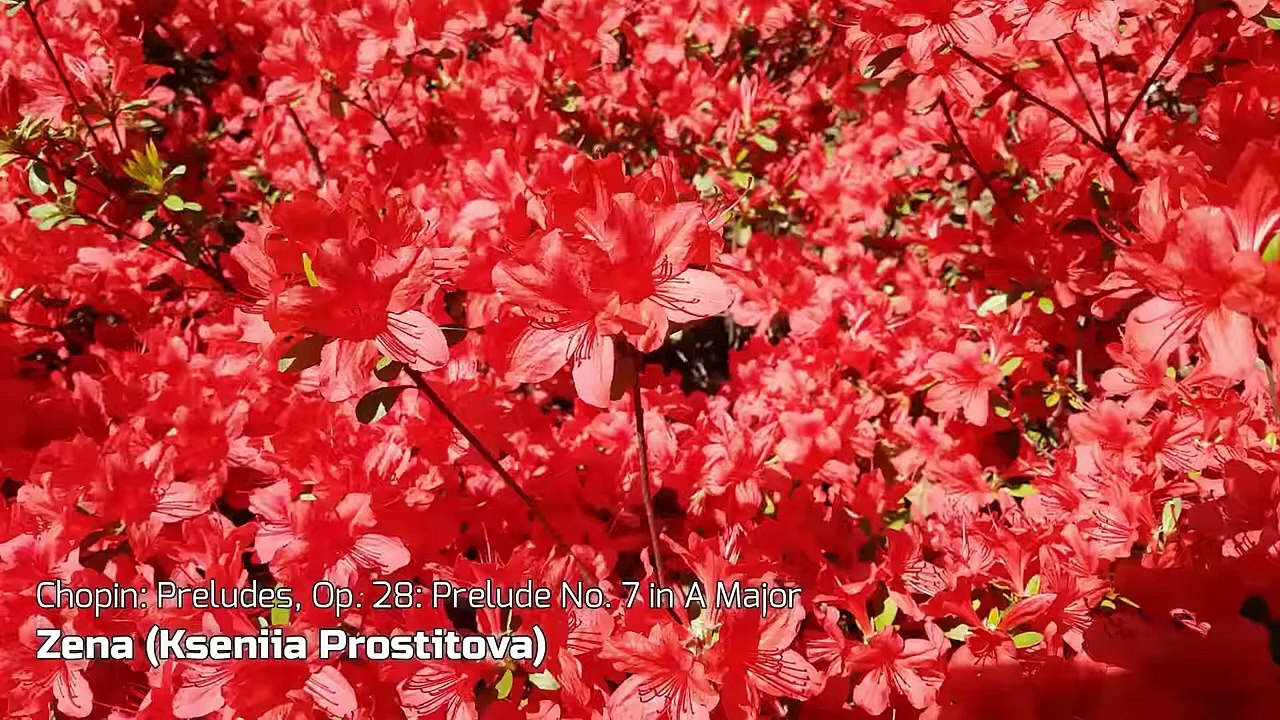 Chopin_ Preludes, Op. 28_ Prelude No. 7 in A Major