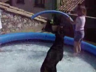 aller hop a la piscine merci mon papa