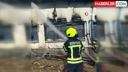 Tarsus'taki Tavuk Çiftliğinde Yangın: 33 Bin Civciv Telef Oldu