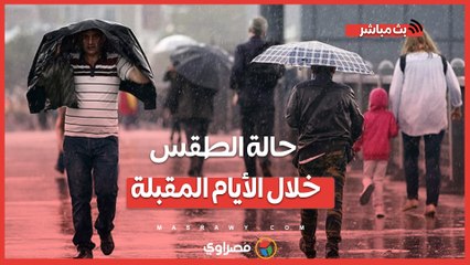 أمطار ورياح وبرودة.. حالة الطقس خلال الأيام المقبلة
