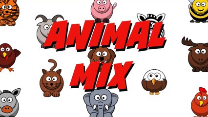 animal-mix-9-funny-animals-nursery-rhymes-silly-songs-kids-s88/25ongs-sing-along-givefastlink