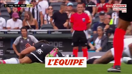 Le défenseur central de Botafogo exclu dès la première minute - Foot - Copa Libertadores