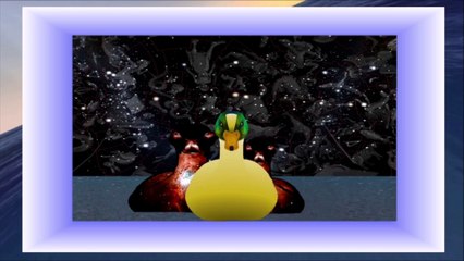 Robert Space  -  Golden Duck 2