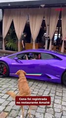 Dog Berlim viraliza ao tentar competir com um Lamborghini em Balneário Camboriú