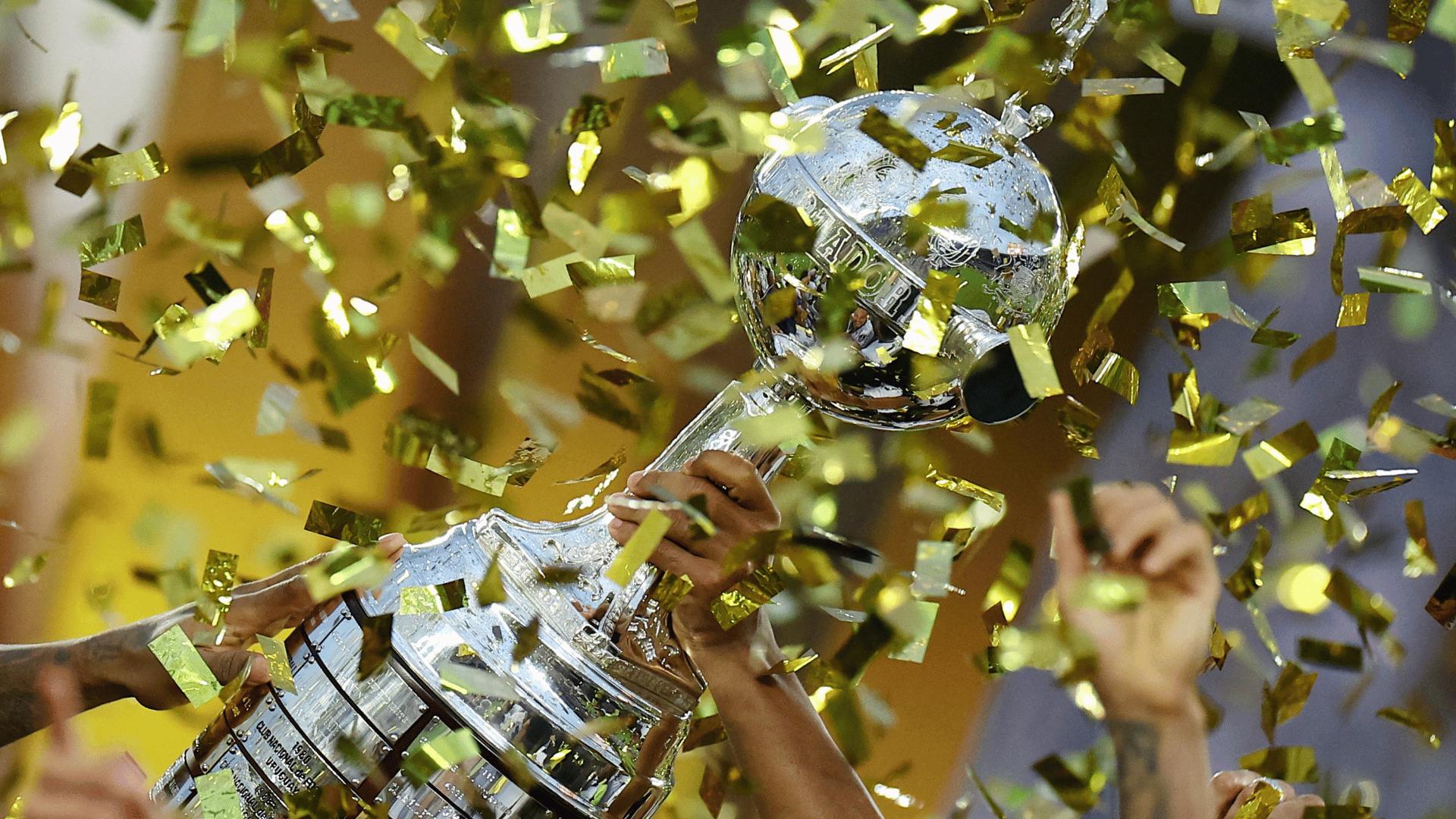 Botafogo are your 2024 Copa Libertadores Champions