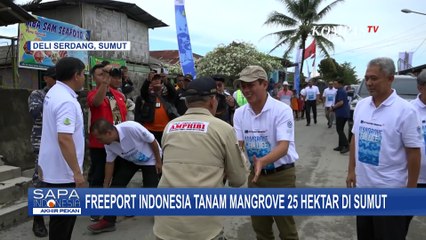 Gandeng Kementerian LHK, PT Freeport Indonesia Dukung Percepatan Rehabilitasi Mangrove