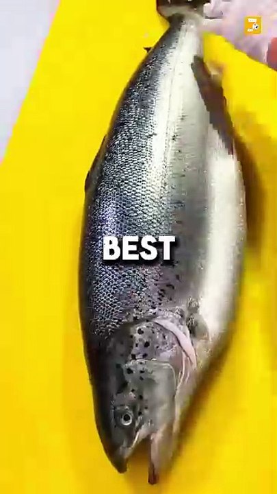 I Ate The 5 Essential Foods and Got SHOCKING Results..!