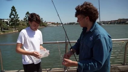 Catching sharks for science in the Brisbane River