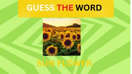 Guess the right word before the time up and also comment where are you guessing.