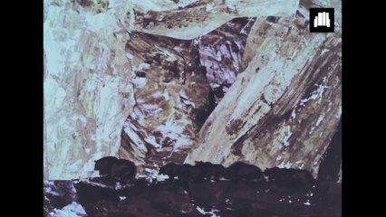 Кримська легенда / Crimean Legend (1969)