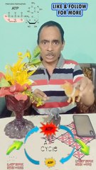 Understanding ATP in Biology