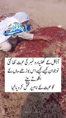 Aj kal ka ganit 2 number mohabbat kha gai jawan beta ko