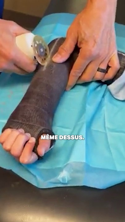 Comment fonctionne une scie à plâtre ?