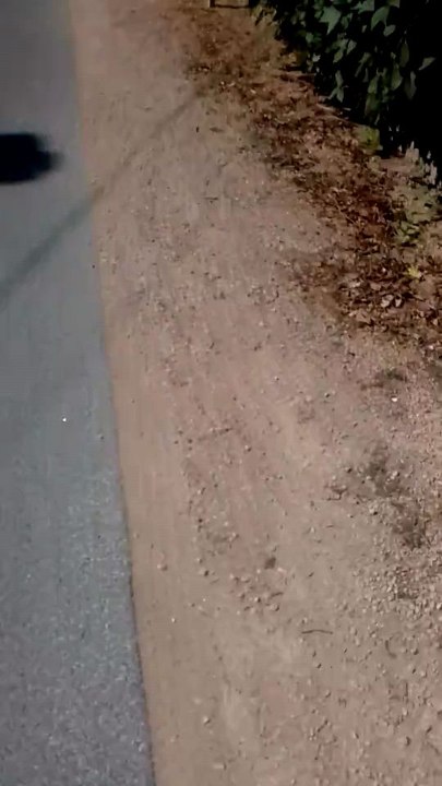 Voici les pratiques de la gendarmerie au lieu de me conseiller de porter plainte,d assurer la sécurité déjà des habitants de la chapelle.ils embrigue les citoyens à menacer, inciter à la violence.! entreprise pierre tombale donc allusion à la mort !