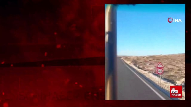 Şanlıurfa’da Anadolu sırtlanı ile yaralı çakal görüldü