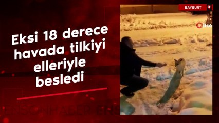 Bayburt'ta eksi 18 derece havada tilkiyi elleriyle besledi