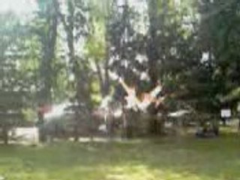 Salon modelismes mandelieu 04_08(nemo+model perso)