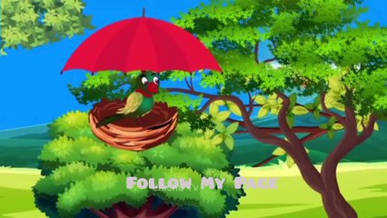 Part 3 New Episode Kauwi Or Kauwi Barish Ma Pareshan Tuni Chidiya Cartoon | Hindi Cartoon Kahaniyan