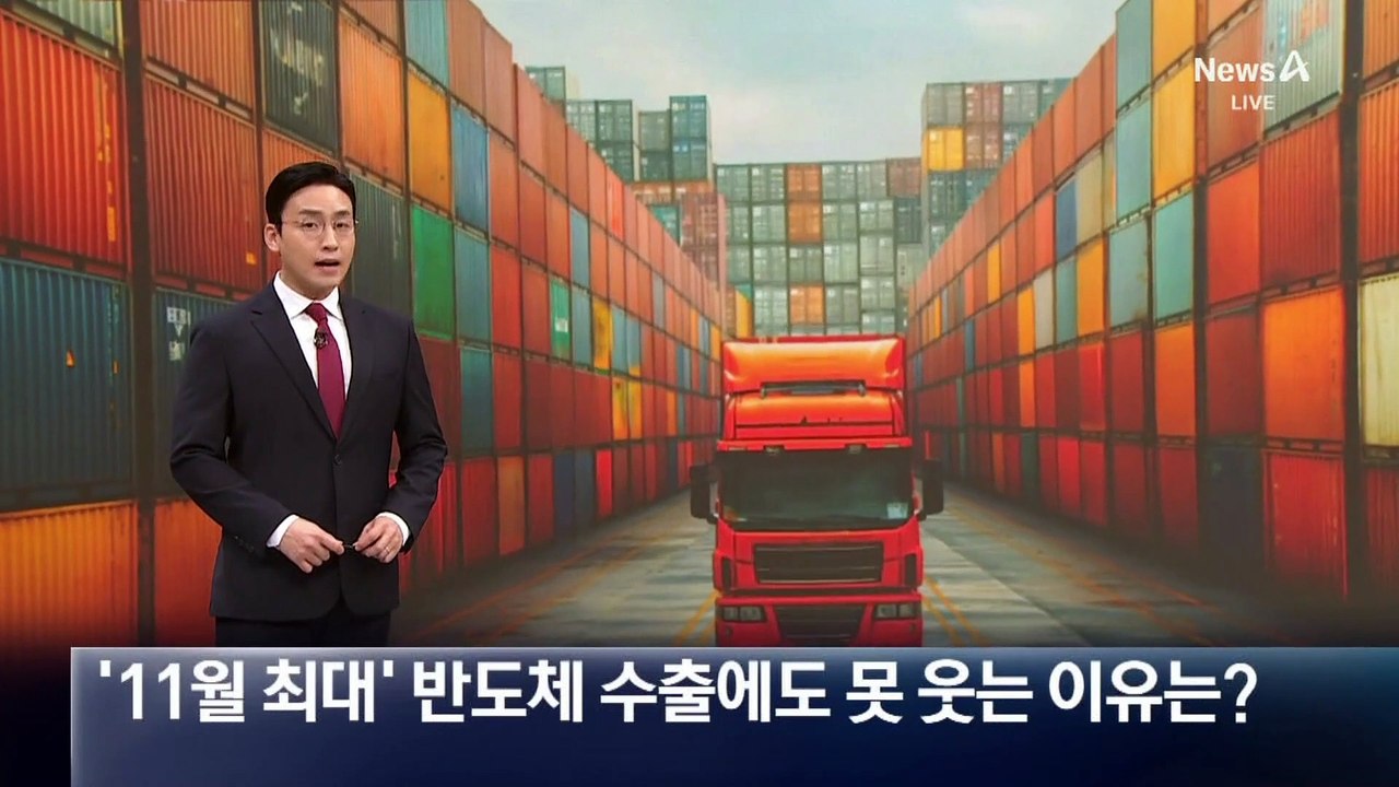 ‘11월 최대’ 반도체 수출에도 못 웃는 이유는?