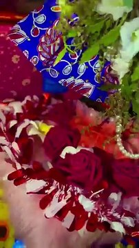 Shri Banke Bihari 🐚| #bankebihari #krishna #krishnabhajan #laddugopal #vrindavan #sagnikadevotional