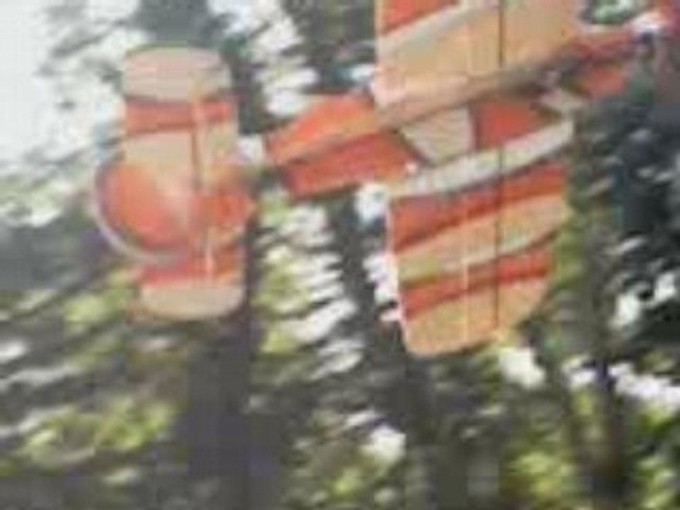 Salon modelismes mandelieu 04_08(mathieu1)