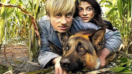 Mon Chien, Ce Héros | Film Complet en Français | Famille