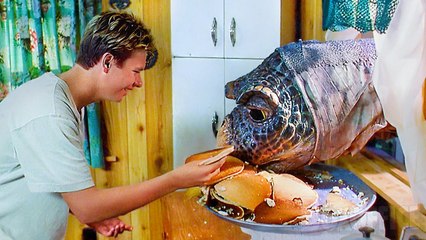 La Tortue Géante | Film Complet en Français | Comédie