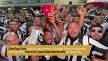 Botafogo fans celebrate first Libertadores title