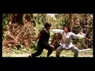 The Victim (English Subtitled) (1980) // Classic Kung Fu Movies