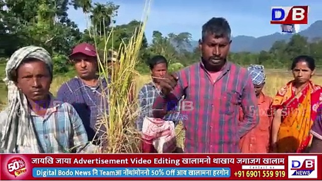 उदालगुरिआव हाग्रानि मैदेरा माय आबादखौ जाजोबबाय।