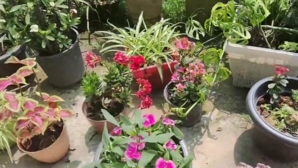 A Day With him _ Our First Vlog _ _Monshik