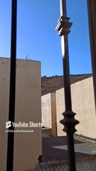 🛸 El Cerro de Los Misterios_ ¡Entidades Intraterrestres Salen de una Cueva! 🐕👽 #shorts #ufo #alien