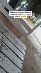 Gördüğü bir amcanın ve kedinin samimiyetini çok tatlı bulan ufaklığın, video konusunda yardımcı olması 😊