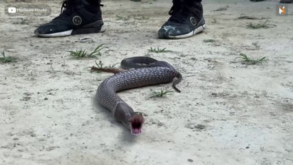 This action was caught on camera, but I am not sure, how can it happen.. Dangerous Situation😱