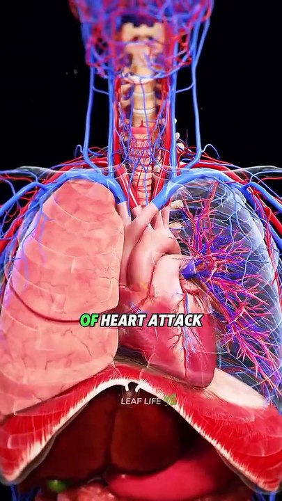 Five Dangerous Food Cause Heart Attack - Healthy Diet - Health Tips.