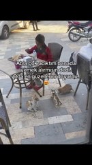 Karnı aç olduğu için yemek rica eden bir ufaklığın, yemeği aldıktan sonra rızkını minik canlarla paylaşması görüntülendi 🥲