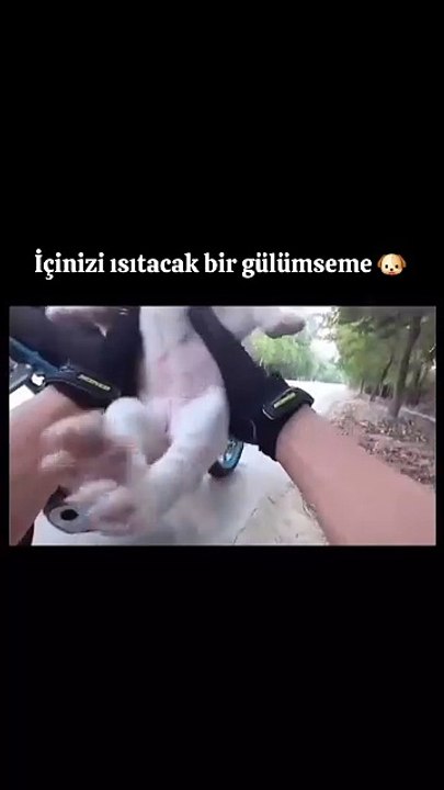 Yolda karşısına çıkan ufak köpeği çevrede bulduğu malzemelerle kurtaran adam. Kurtarıldığının farkında olup yaşadığı mutluluk 😊
