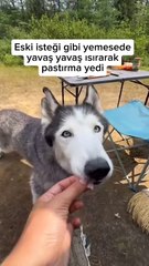 Tıpta yeri yok ama sevgi ve aile iyileştirir 😊