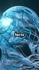 5 mind blowing psychology facts about human part-6 #facts #psychologyfacts #shorts